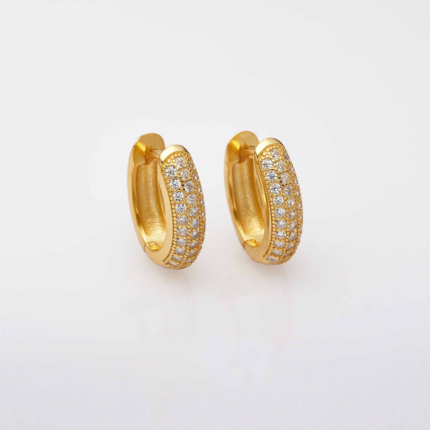 Hoop Earrings