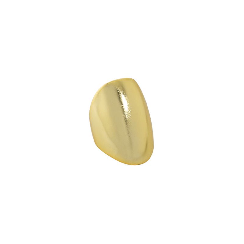 Geometry Ellipse Non Earrings