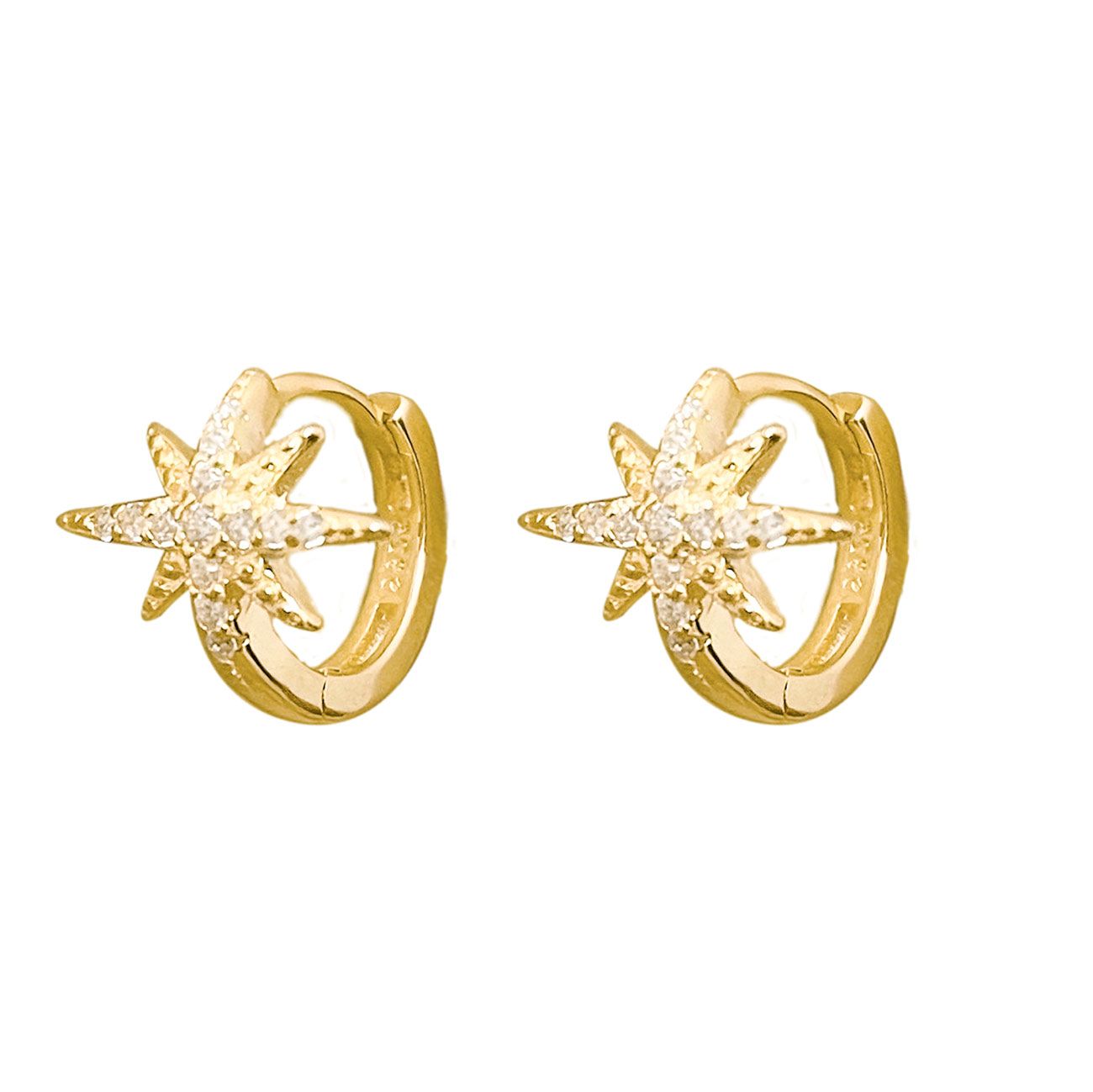 Hoop Earrings