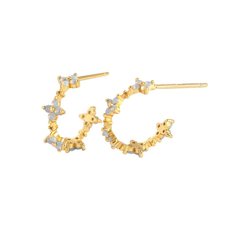 Hoop Earrings
